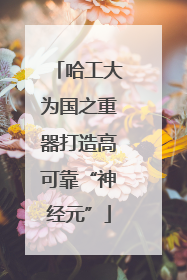 哈工大为国之重器打造高可靠“神经元”