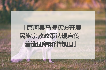 唐河县马振抚镇开展民族宗教政策法规宣传 营造团结和谐氛围