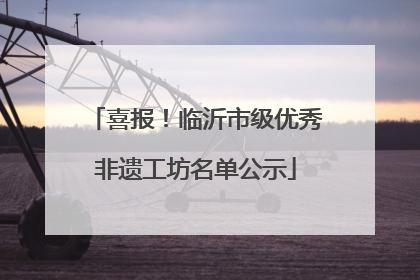 喜报！临沂市级优秀非遗工坊名单公示