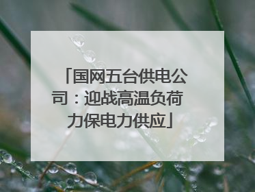 国网五台供电公司：迎战高温负荷 力保电力供应
