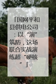 国网平和县供电公司：以“演”筑防，这场联合实战演练超“硬核”