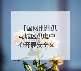 国网荆州供司城区供电中心开展安全文化专题会
