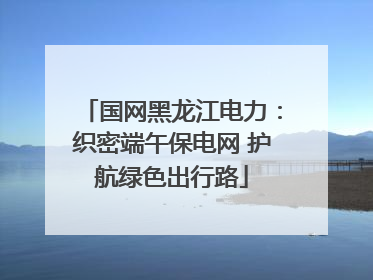 国网黑龙江电力：织密端午保电网 护航绿色出行路