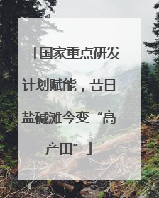 国家重点研发计划赋能，昔日盐碱滩今变“高产田”