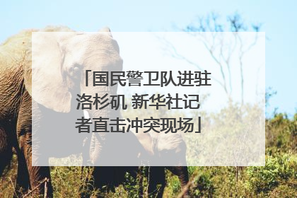 国民警卫队进驻洛杉矶 新华社记者直击冲突现场