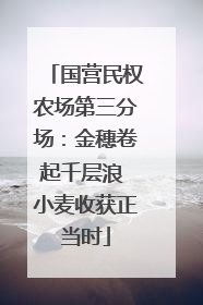 国营民权农场第三分场：金穗卷起千层浪 小麦收获正当时