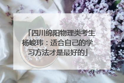 四川绵阳物理类考生杨峻玮：适合自己的学习方法才是最好的