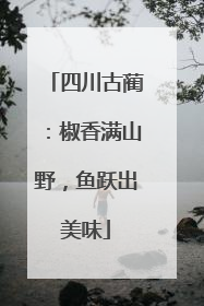 四川古蔺：椒香满山野，鱼跃出美味