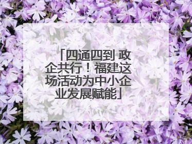 四通四到 政企共行！福建这场活动为中小企业发展赋能
