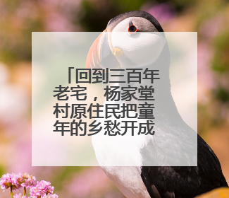 回到三百年老宅，杨家堂村原住民把童年的乡愁开成了民宿