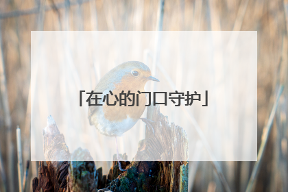 在心的门口守护