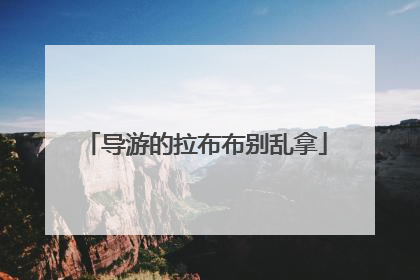 导游的拉布布别乱拿