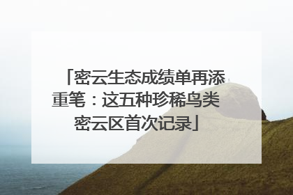 密云生态成绩单再添重笔：这五种珍稀鸟类密云区首次记录