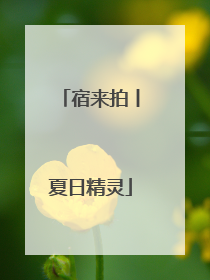 宿来拍丨夏日精灵