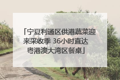 宁夏利通区供港蔬菜迎来采收季 36小时直达粤港澳大湾区餐桌