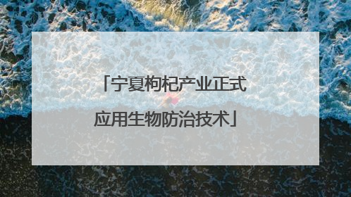 宁夏枸杞产业正式应用生物防治技术