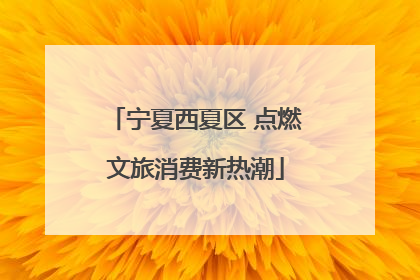 宁夏西夏区 点燃文旅消费新热潮