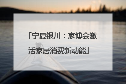 宁夏银川：家博会激活家居消费新动能