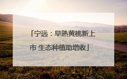 宁远：早熟黄桃新上市 生态种植助增收