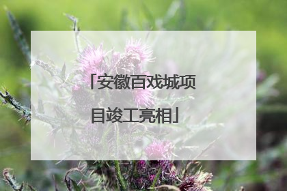 安徽百戏城项目竣工亮相