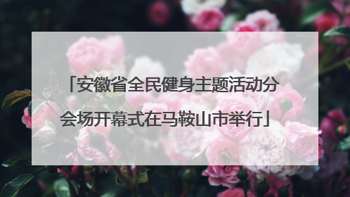 安徽省全民健身主题活动分会场开幕式在马鞍山市举行