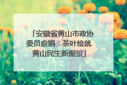 安徽省黄山市政协委员俞娟：茶叶绘就黄山民生新图景