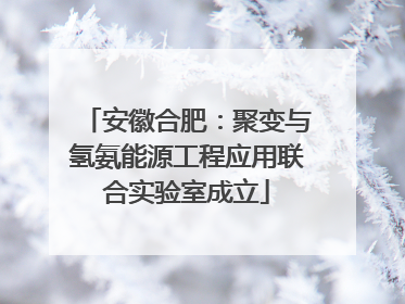 安徽合肥：聚变与氢氨能源工程应用联合实验室成立