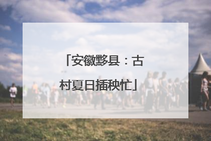 安徽黟县：古村夏日插秧忙