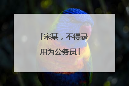 宋某，不得录用为公务员