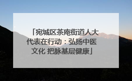 宛城区茶庵街道人大代表在行动：弘扬中医文化 把脉基层健康