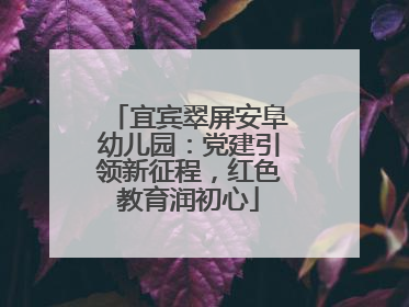宜宾翠屏安阜幼儿园：党建引领新征程，红色教育润初心