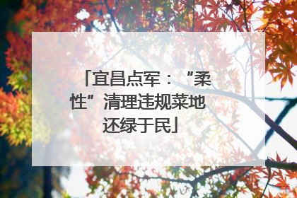 宜昌点军：“柔性”清理违规菜地 还绿于民