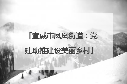 宣威市凤凰街道：党建助推建设美丽乡村