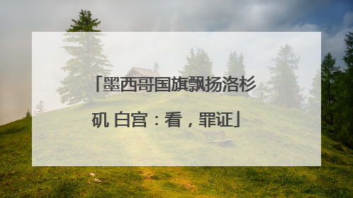 墨西哥国旗飘扬洛杉矶 白宫：看，罪证