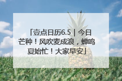 壹点日历6.5｜今日芒种！风吹麦成浪，蝉鸣夏始忙！大家早安