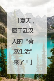 夏天，属于武汉人的“荷系生活”来了！