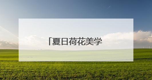 夏日荷花美学 你能认出几种？
