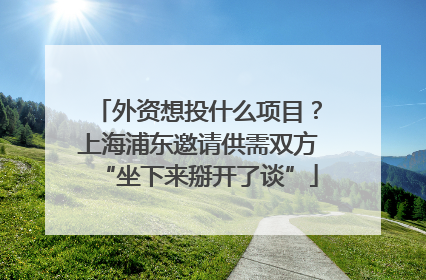 外资想投什么项目？上海浦东邀请供需双方“坐下来掰开了谈”