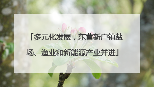 多元化发展，东营新户镇盐场、渔业和新能源产业并进