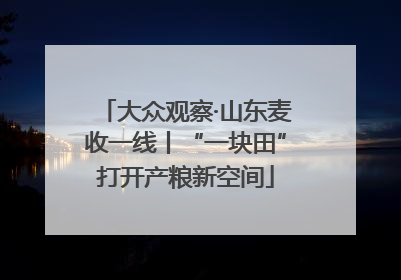 大众观察·山东麦收一线丨“一块田”打开产粮新空间