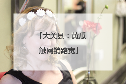 大关县：黄瓜触网销路宽
