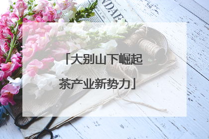 大别山下崛起茶产业新势力