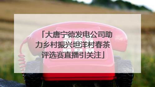 大唐宁德发电公司助力乡村振兴坦洋村春茶评选赛直播引关注