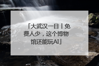 大武汉一日丨免费人少，这个博物馆还能玩AI