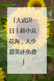 大武汉一日丨超小众花海，人少景美还免费