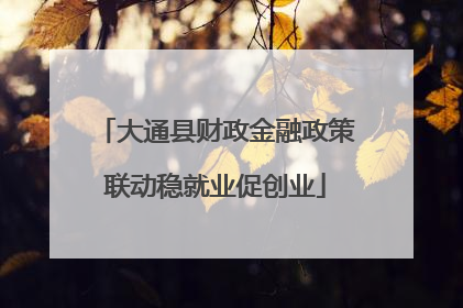 大通县财政金融政策联动稳就业促创业