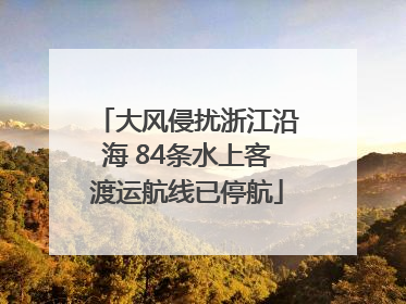 大风侵扰浙江沿海 84条水上客渡运航线已停航