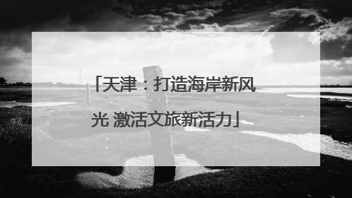 天津：打造海岸新风光 激活文旅新活力