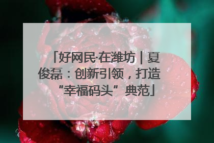 好网民·在潍坊｜夏俊磊：创新引领，打造“幸福码头”典范