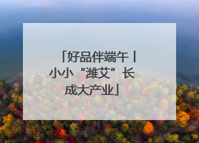好品伴端午丨小小“潍艾”长成大产业